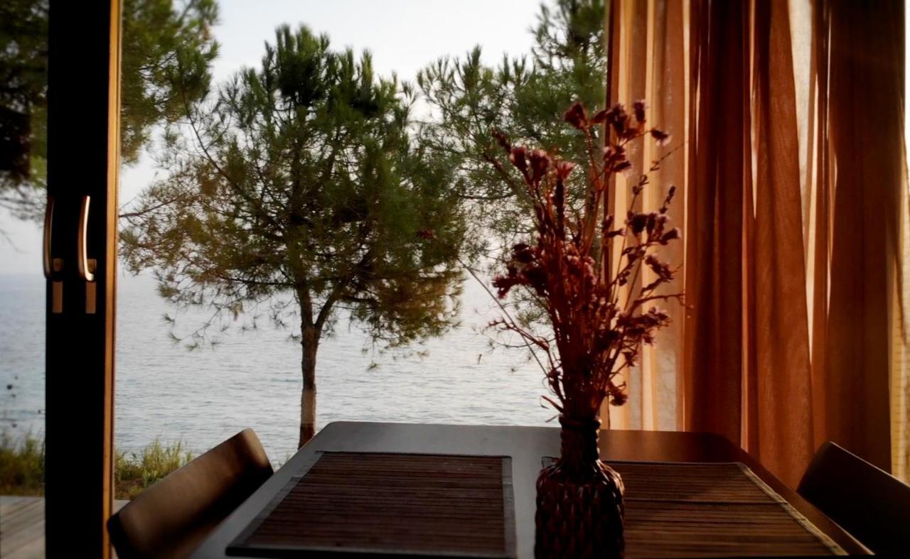 Ihouse Νέα Σκιώνη Εξωτερικό φωτογραφία