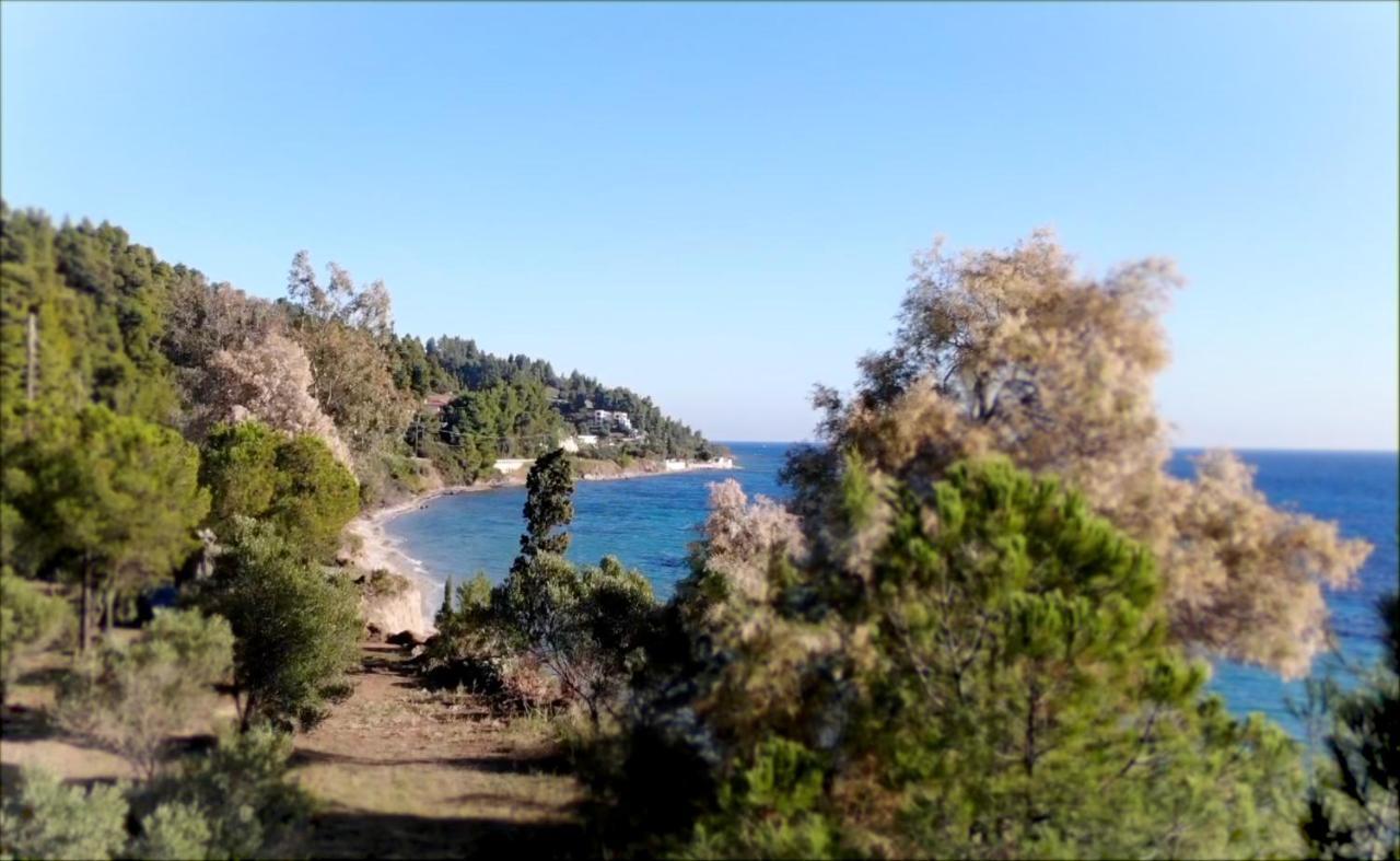 Ihouse Νέα Σκιώνη Εξωτερικό φωτογραφία